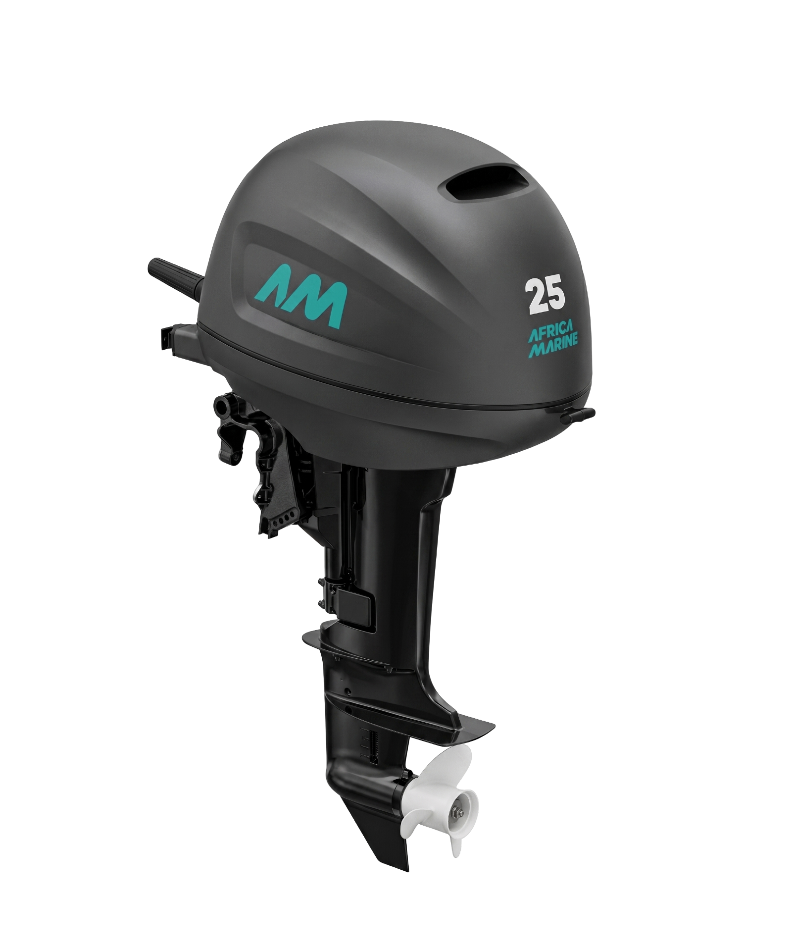 AM25 outboard motor